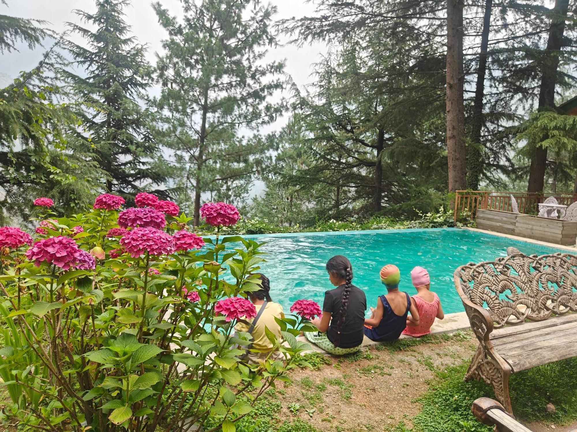 Kudrat - A Boutique Homestay- Tirthan Valley Gushaini Ngoại thất bức ảnh